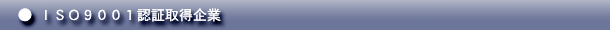 ΉAvP[V